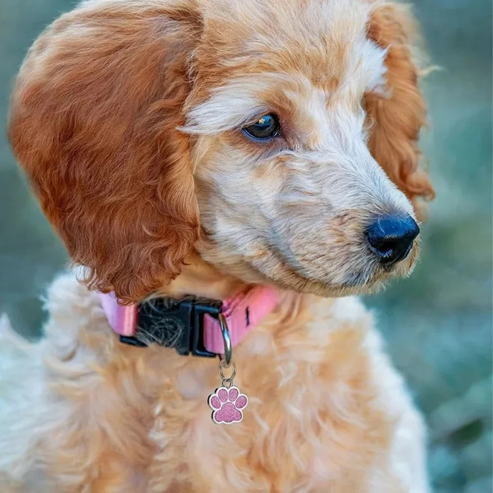 Personalized Glitter Paw Pet ID Tag