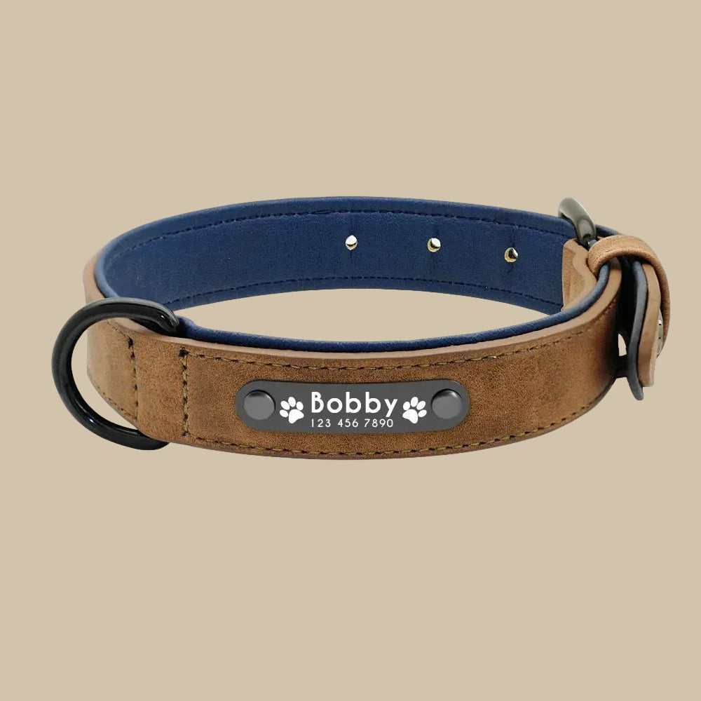 Personalized Leather Name ID Dog Collar