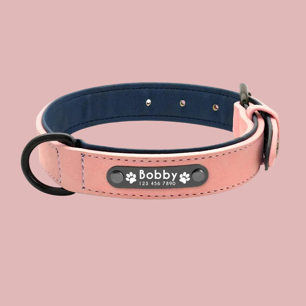 Personalized Leather Name ID Dog Collar