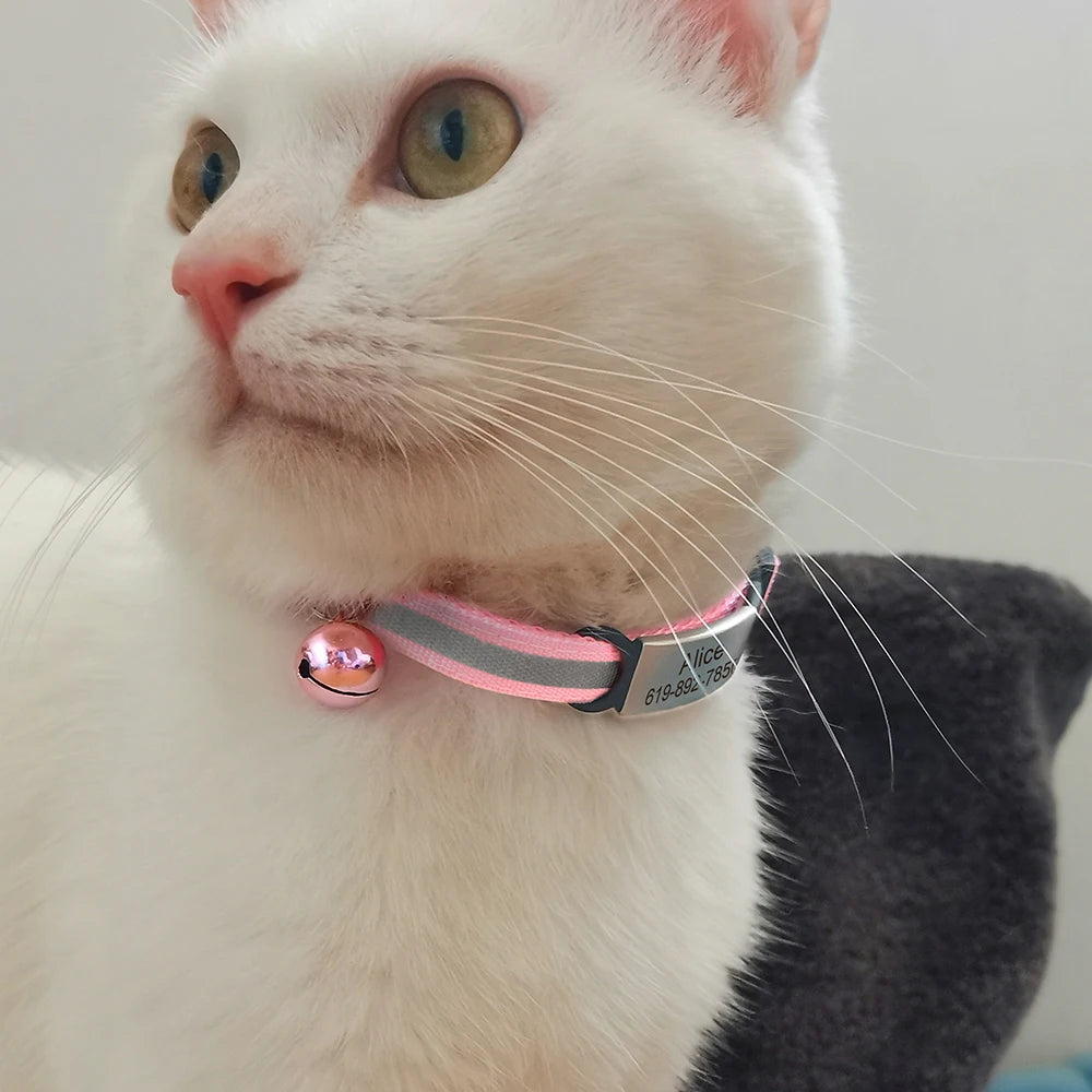 Personalized Reflective Cat & Puppy Collar with Engraved ID Tag
