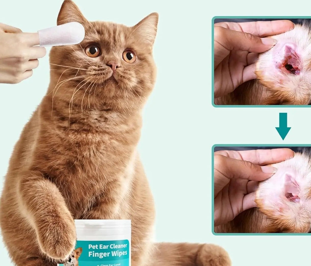 Pet Ear Cleaner Finger Wipes for Dogs & Cats