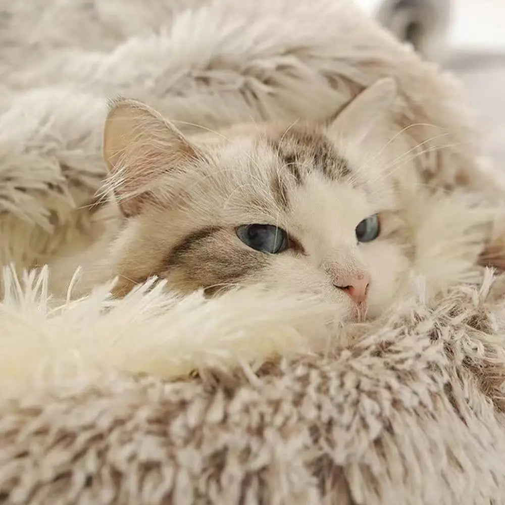 Plush Round Cushioned Pet Bed House Basket