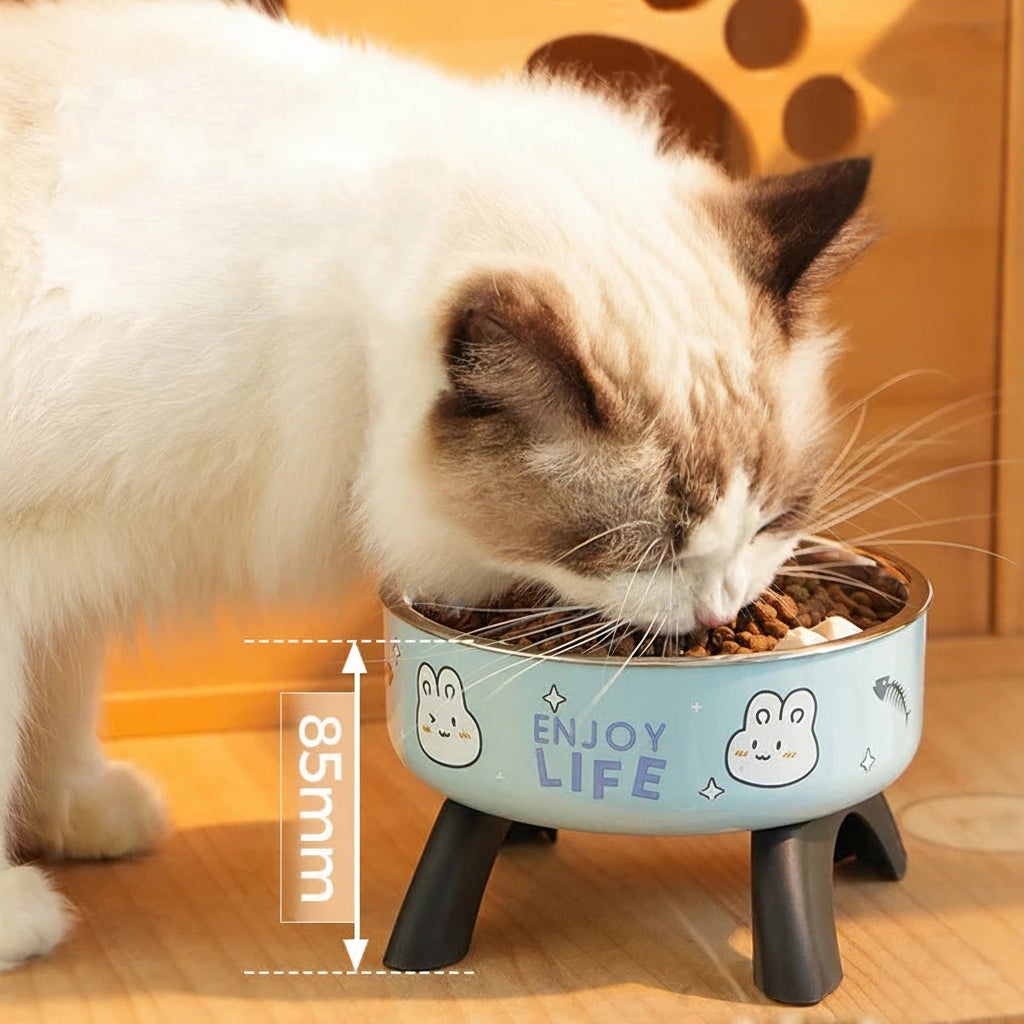 Raised Anti-Slip Removable Stainless Steel Cat & Dog Feeding Bowl