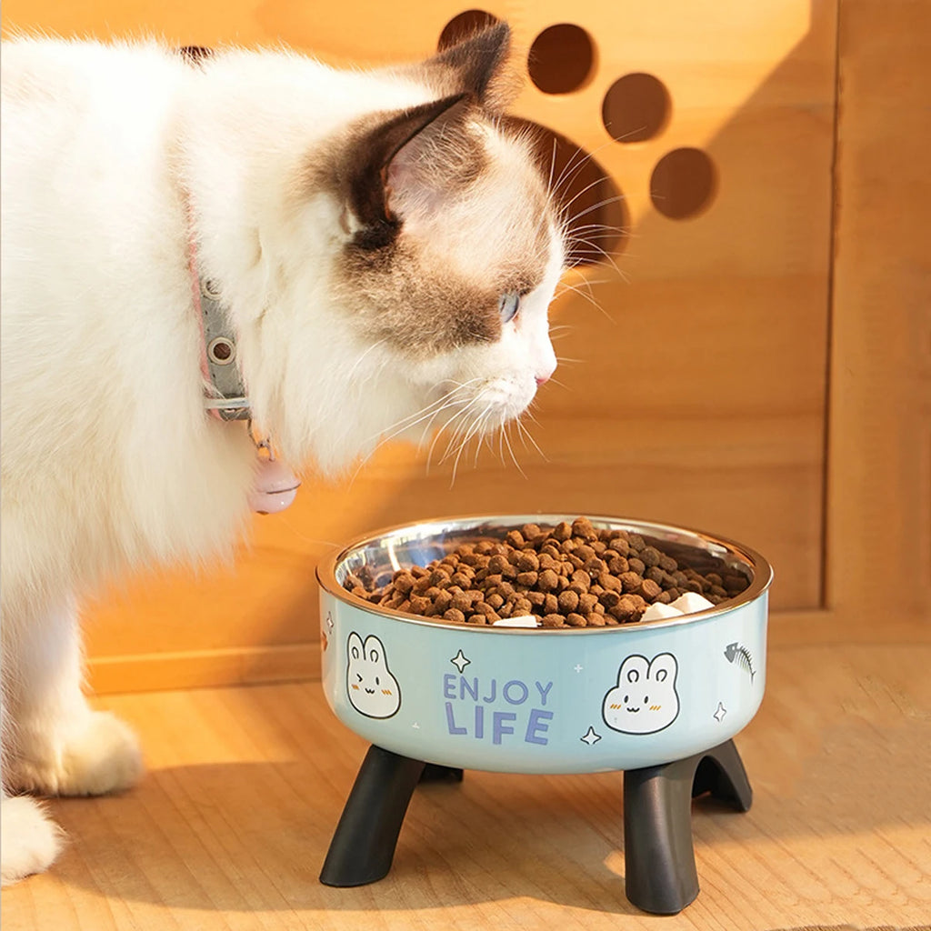 Raised Anti-Slip Removable Stainless Steel Cat & Dog Feeding Bowl