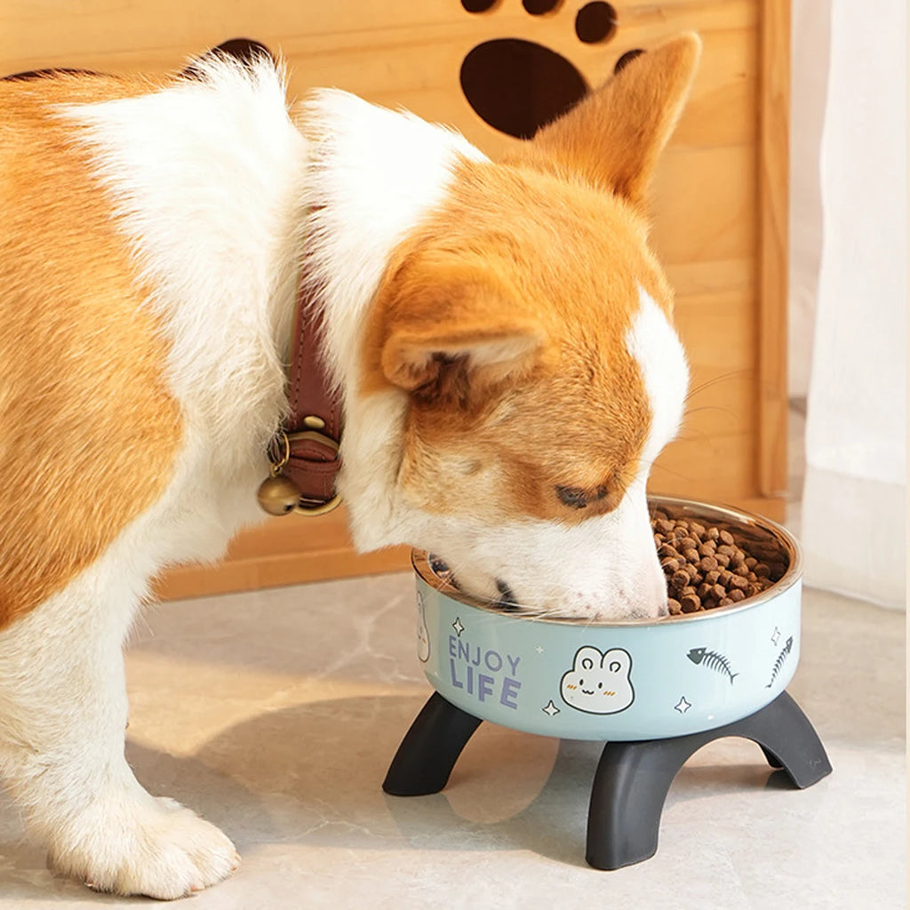 Raised Anti-Slip Removable Stainless Steel Cat & Dog Feeding Bowl