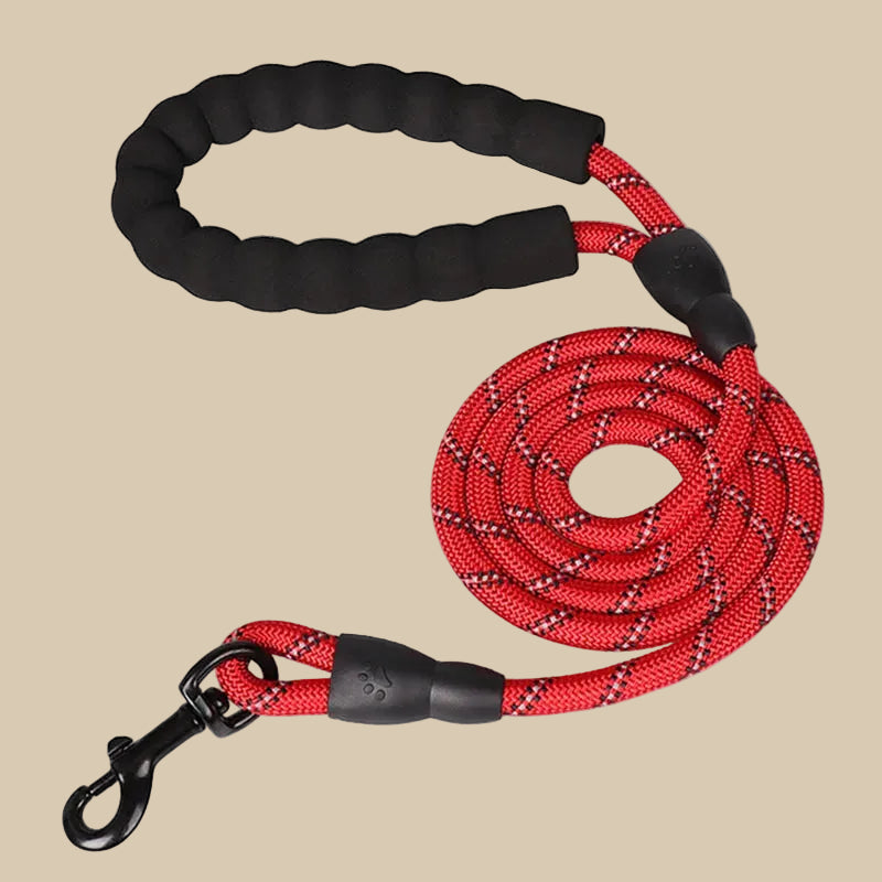 Reflective Pet Leash with Comfortable Padded Handle