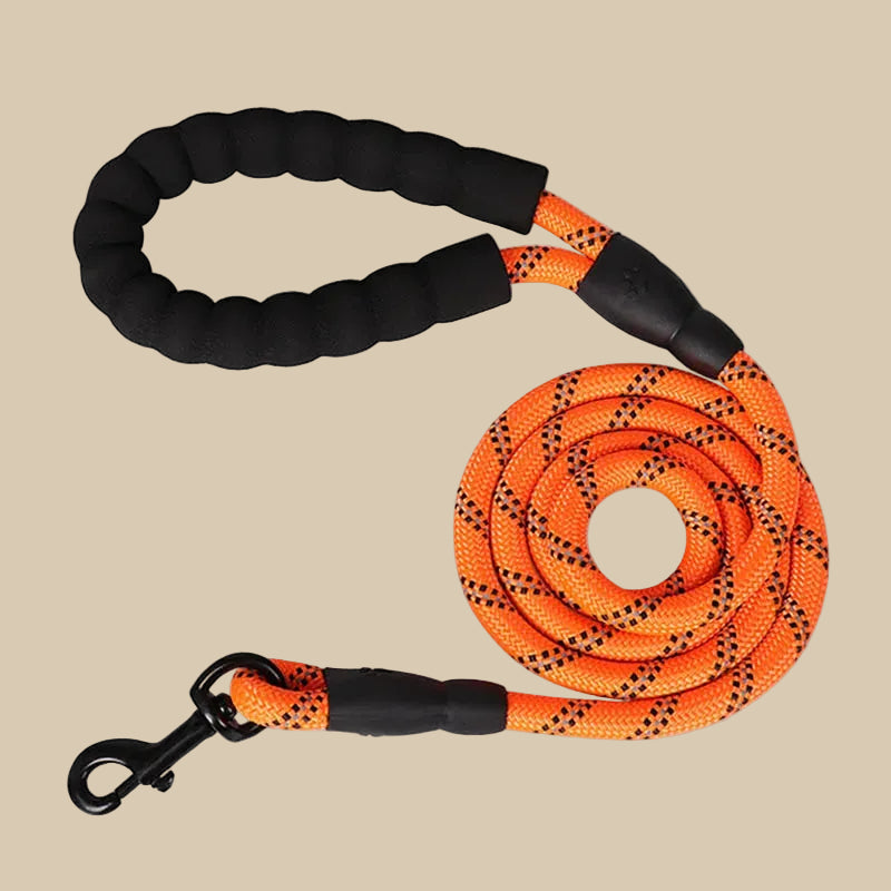 Reflective Pet Leash with Comfortable Padded Handle