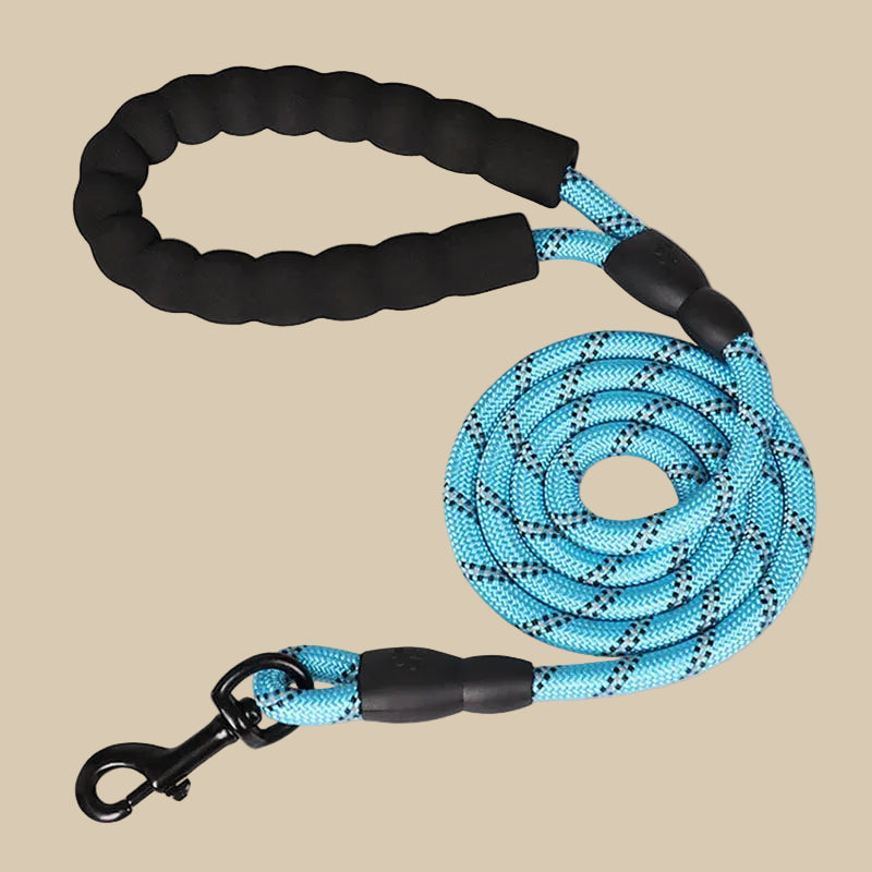 Reflective Pet Leash with Comfortable Padded Handle