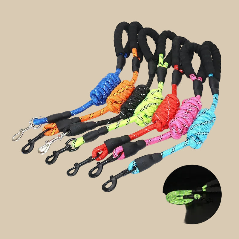 Reflective Pet Leash with Comfortable Padded Handle