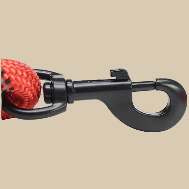 Reflective Pet Leash with Comfortable Padded Handle