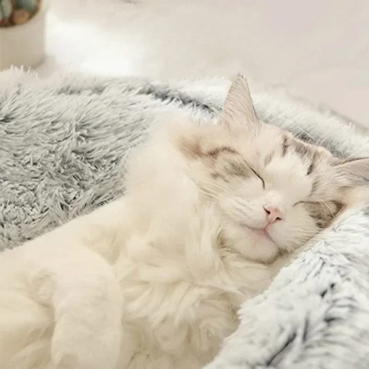 Plush Round Cushioned Pet Bed House Basket