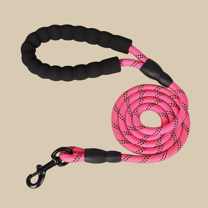 Reflective Pet Leash with Comfortable Padded Handle