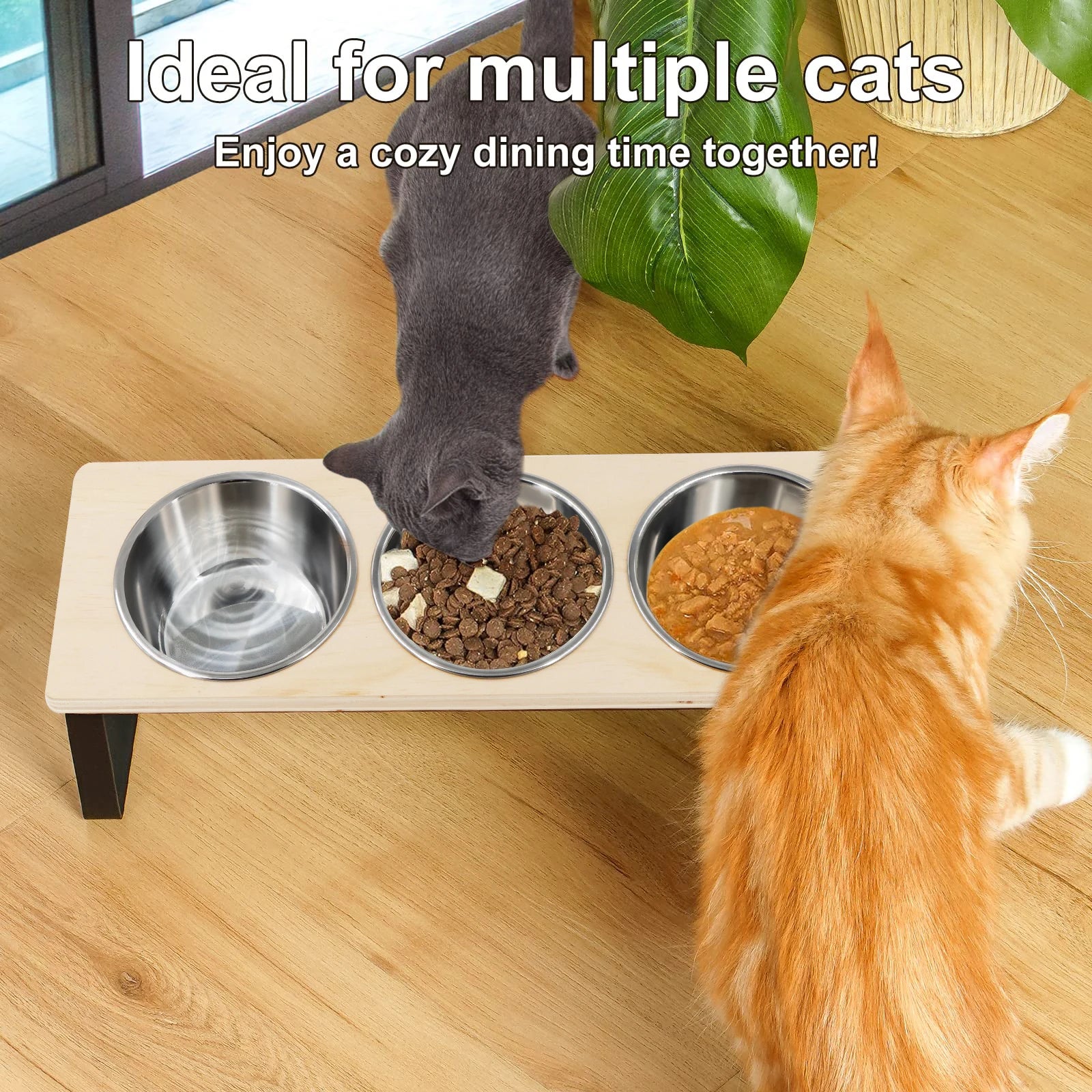 Elevated Tilted Pet Feeder with 3 Stainless Steel Bowls