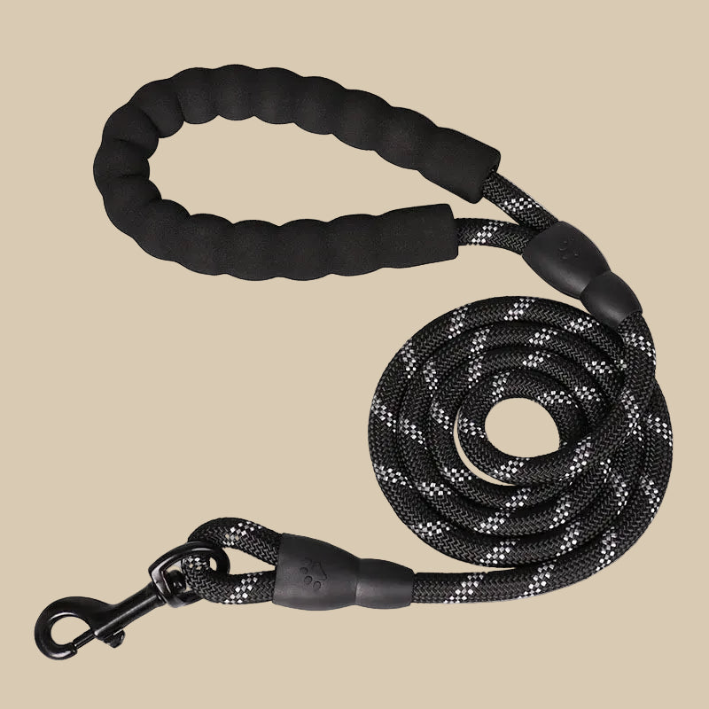 Reflective Pet Leash with Comfortable Padded Handle
