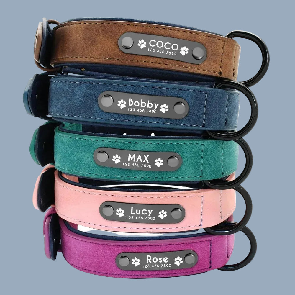 Personalized Leather Name ID Dog Collar