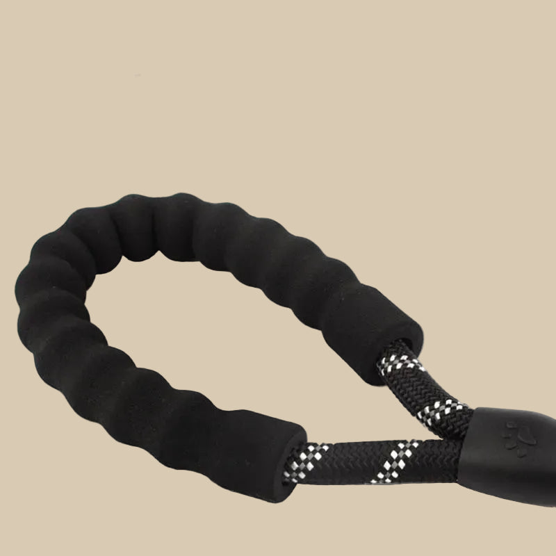 Reflective Pet Leash with Comfortable Padded Handle