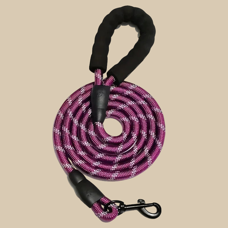Reflective Pet Leash with Comfortable Padded Handle