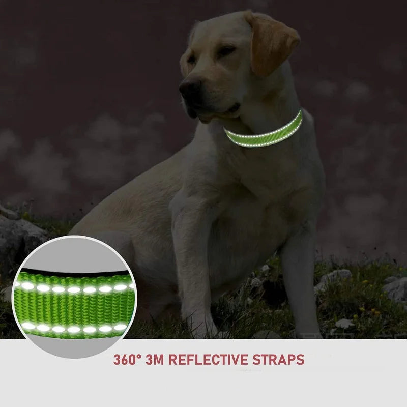 Simple Comfortable Nylon Collar for Dogs and Cats