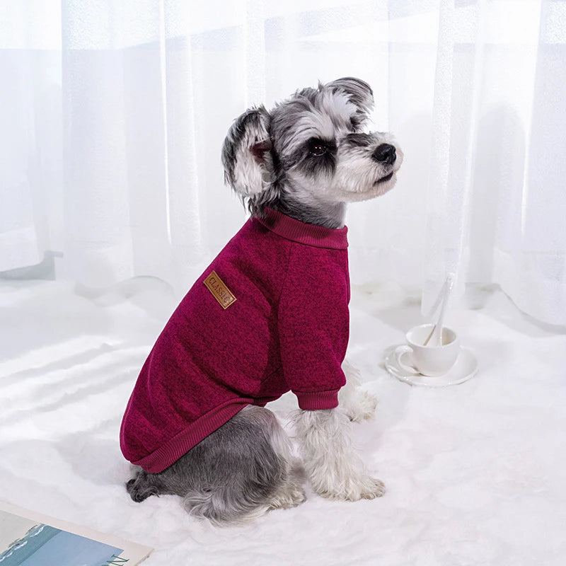 Snuggly Warm and Cozy Pet Sweater