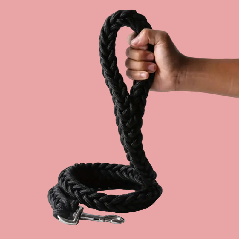 Strong Durable Braided Training and Walking Dog Leash