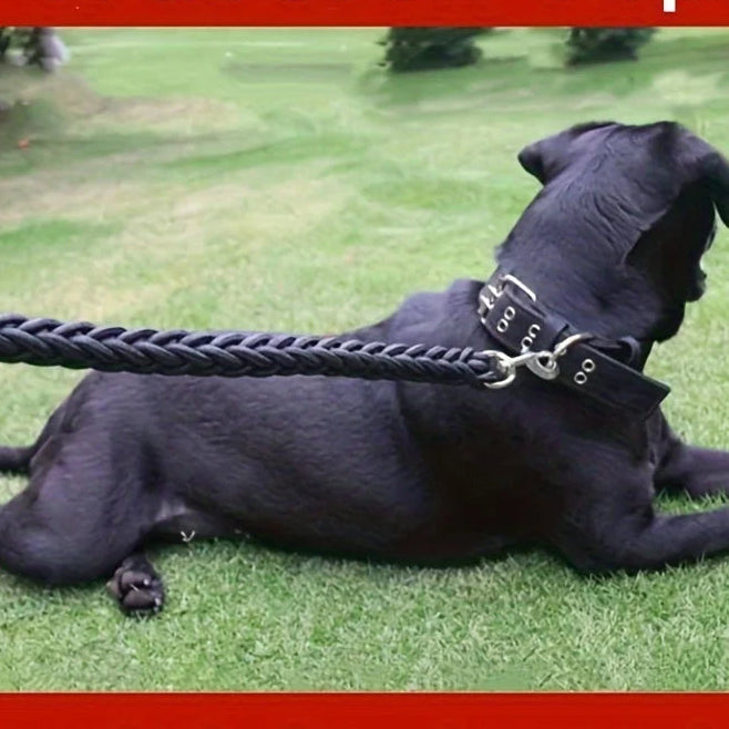Strong Durable Braided Training and Walking Dog Leash