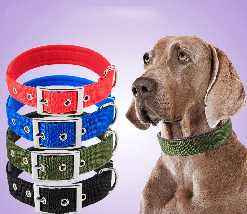 Sturdy Solid Color Nylon Pet Collar for Dogs and Cats