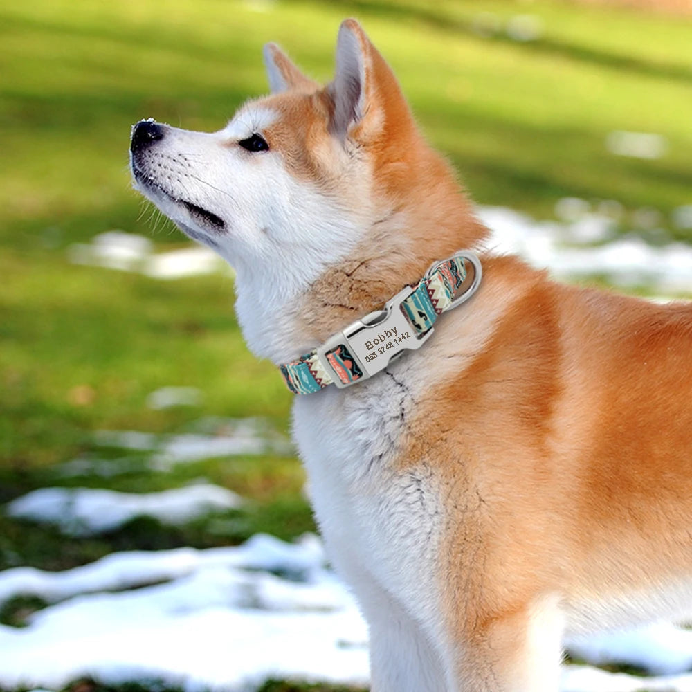 Stylish Adjustable Personalized Collar for Dogs & Cats