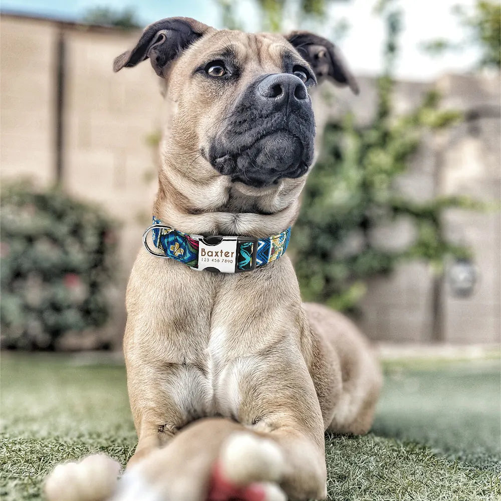 Stylish Adjustable Personalized Collar for Dogs & Cats