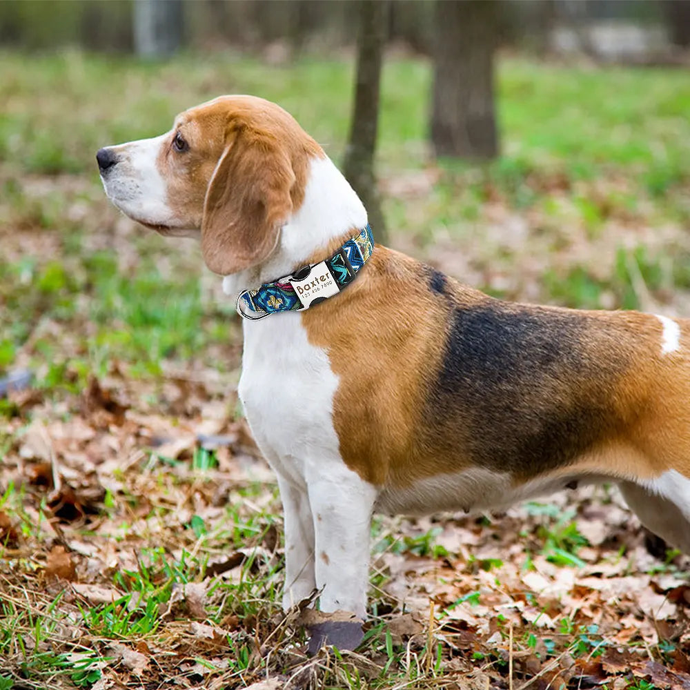 Stylish Adjustable Personalized Collar for Dogs & Cats
