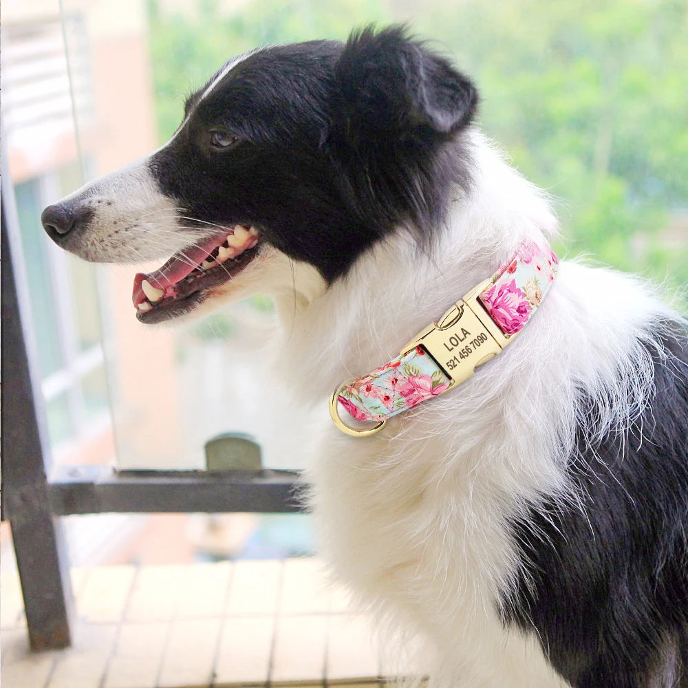 Stylish Adjustable Personalized Collar for Dogs & Cats