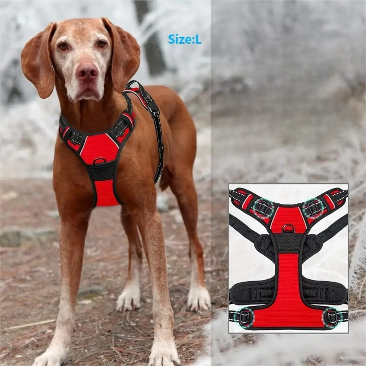 Training and Safety Harness Big Vest for Dogs