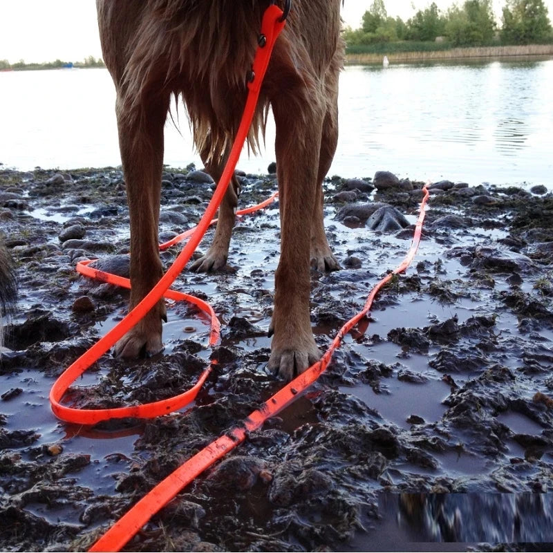Waterproof Walking and Training Lead Dog Leash