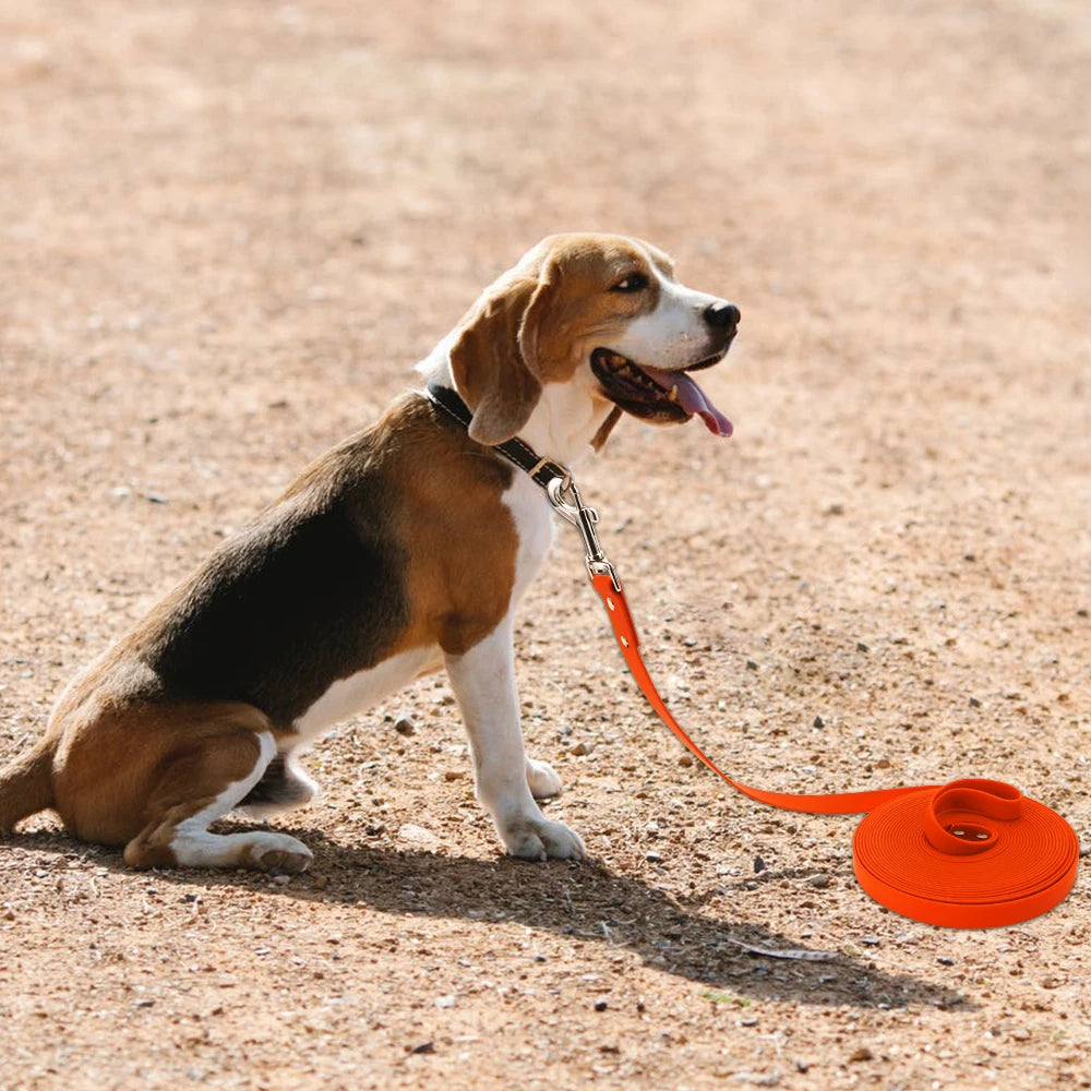 Waterproof Walking and Training Lead Dog Leash