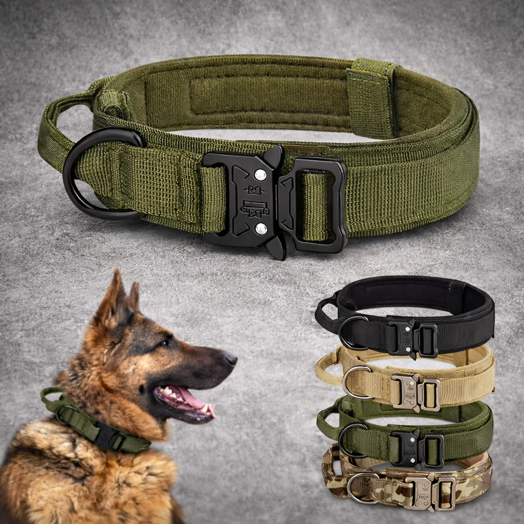 Tactical Metal Buckle Breathable Dog Collar